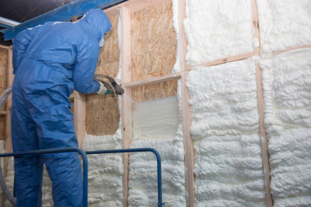 Best Spray Foam Insulation in Cascade Chipita Park, CO